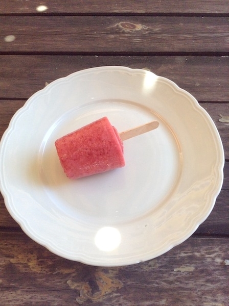 Gelato fatto in casa con fragola e yogurt Pattìni