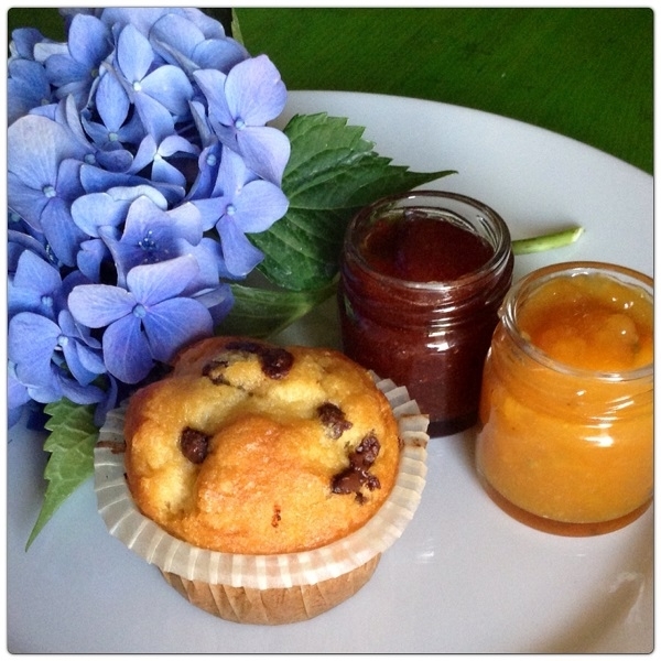 Marmellate particolari e Muffin con gocce di cioccolato