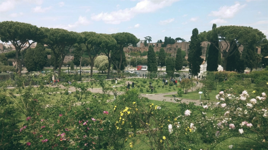 Colazione tra le rose: un angolo di paradiso a Roma