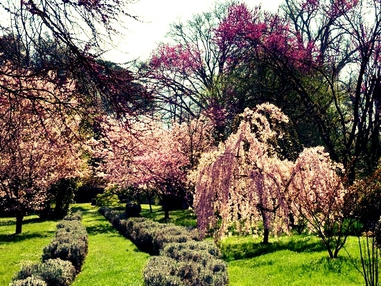 Settembre è tornato e nel Giardino di Ninfa ci ha portato!