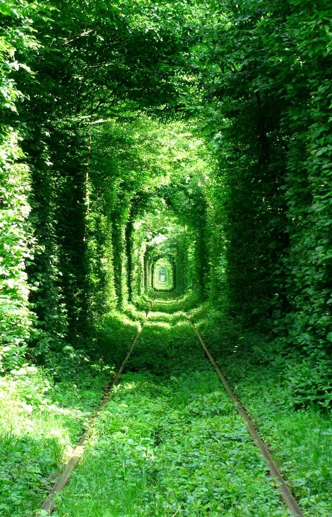 Una dolce colazione nel “Tunnel dell”Amore”