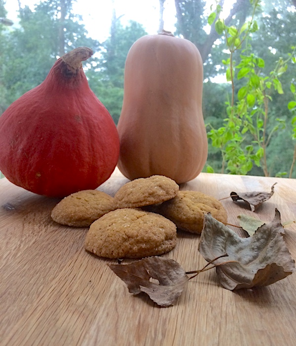 Biscotti soffici alla zucca