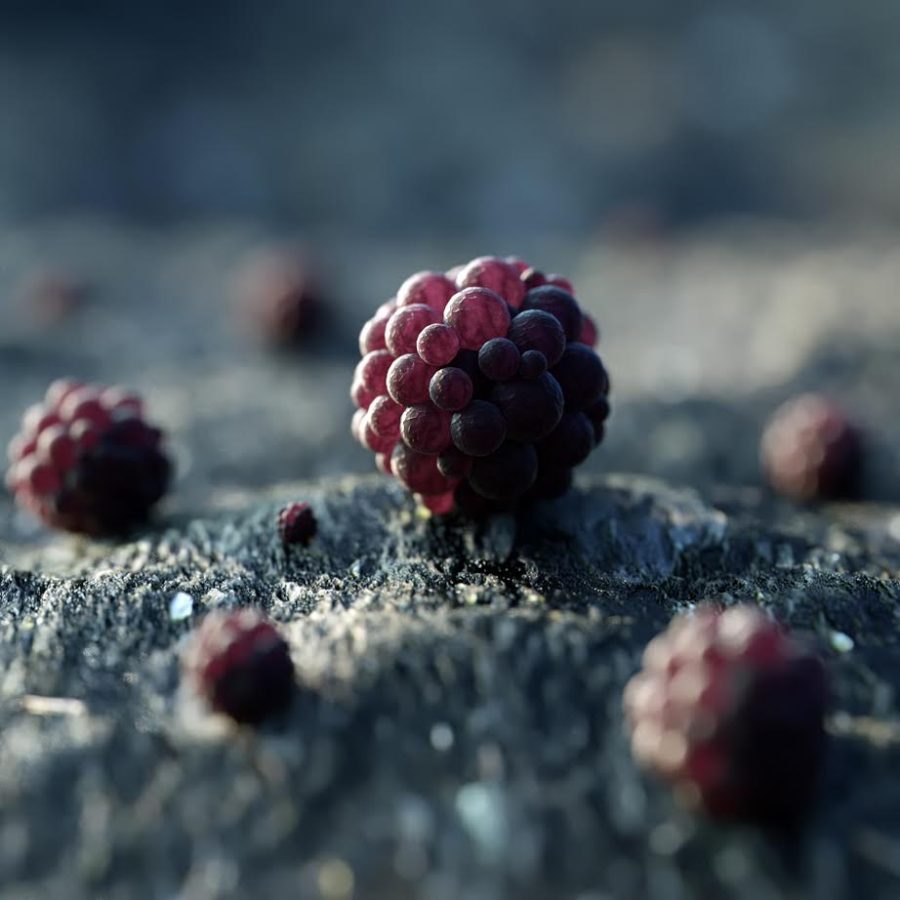 Come è fatta la frutta aliena?