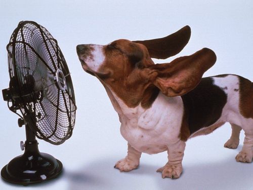 Un ventilatore fai da te. Consigli pratici